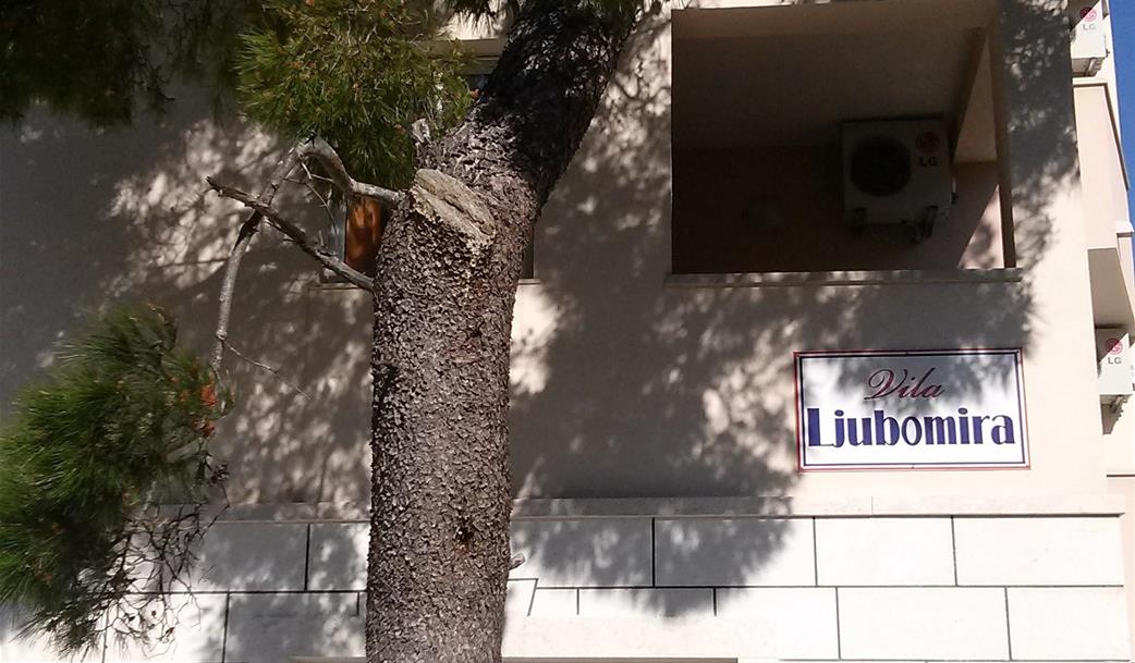 studia Ljubomíra